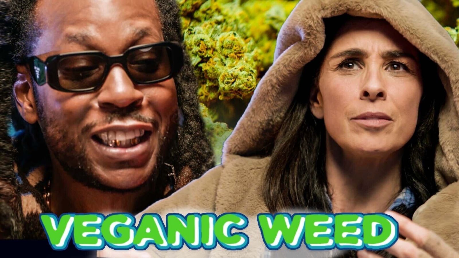2 Chainz & Sarah Silverman Try Expensive Marijuana | Most Expensivest