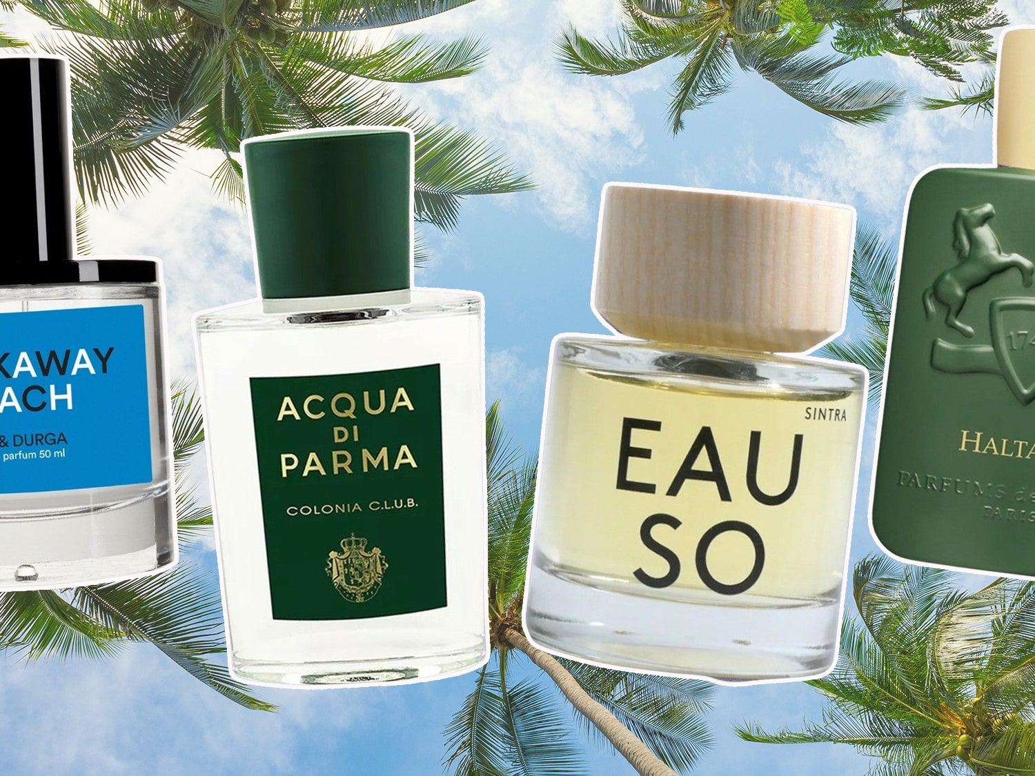 The Best Summer Colognes Will Keep You Smelling Fresh